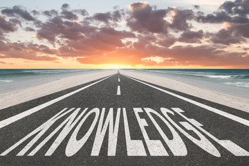 大班体育活动教学反思