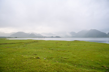 生物能对外界刺激作出反应