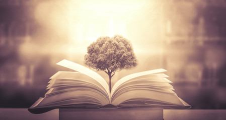 宇宙的未来结局是怎样的？