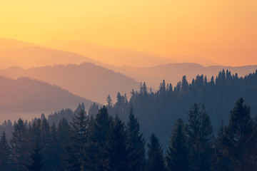 i dont give a shit的中文意思是什么？