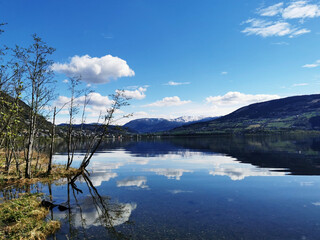 二年级科技创新小制作