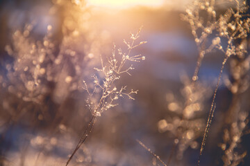 中国人早餐吃什么？