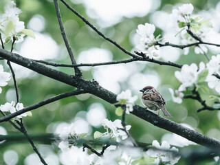 二年级科技创新小制作