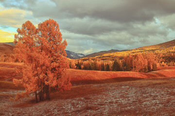 异步电动机的工作特性