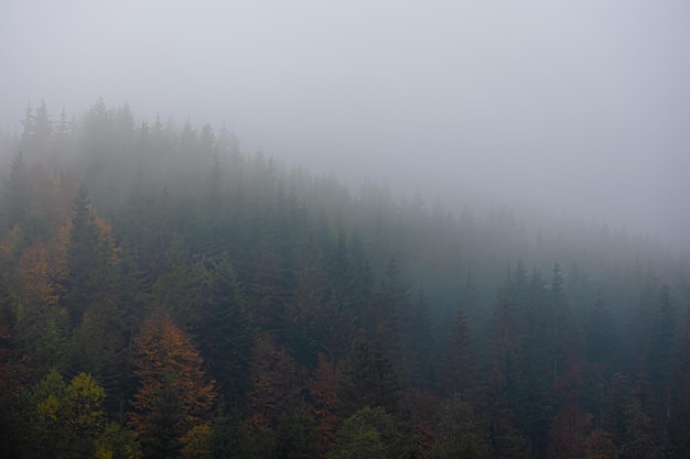 生物能对外界刺激作出反应