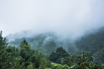 水果脑筋急转弯